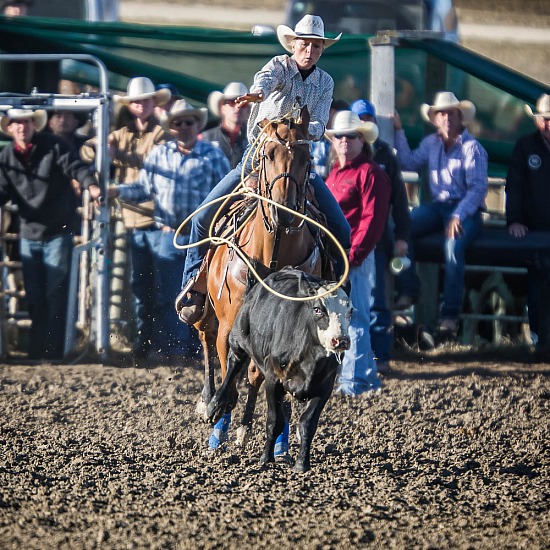 2ND DIVISION BREAKAWAY ROPING