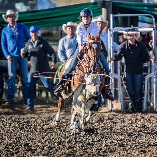 JUNIOR BREAKAWAY ROPING