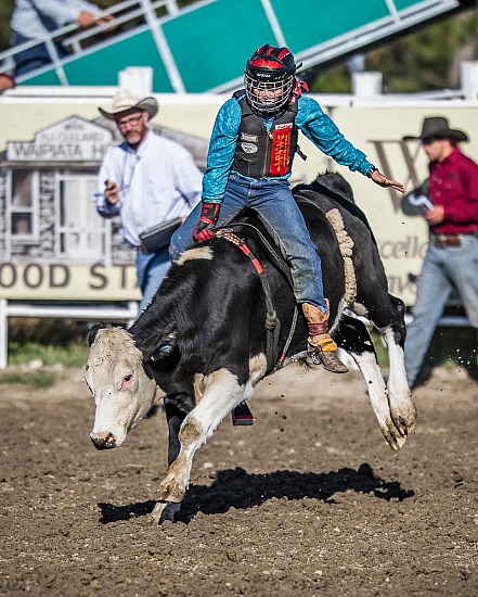 JUNIOR STEER RIDE