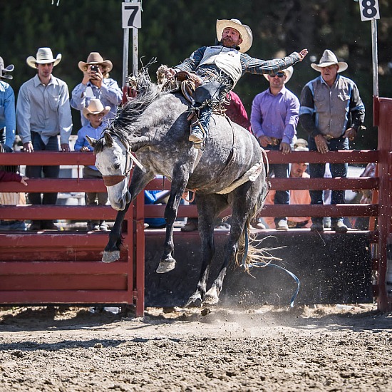 SADDLE BRONC