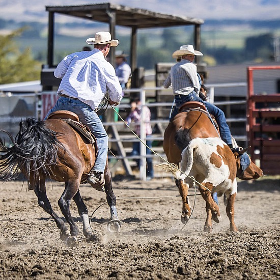 TEAM ROPING