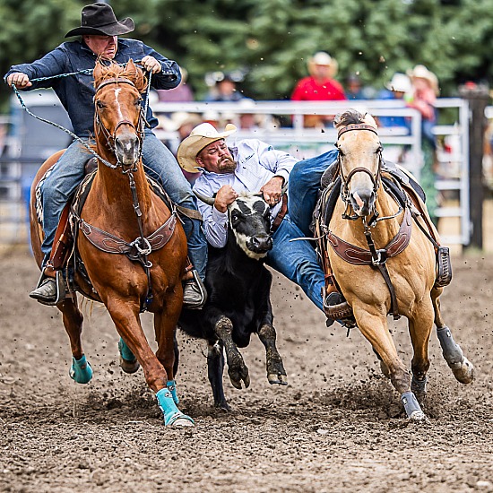 STEER WRESTLING