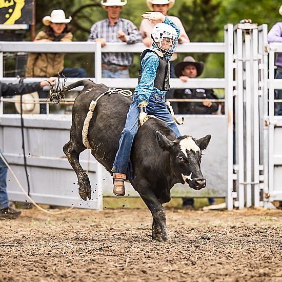 JUNIOR STEER RIDE