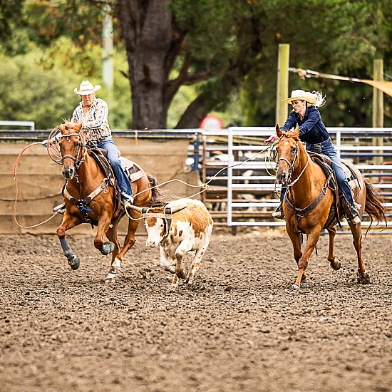 TEAM ROPING