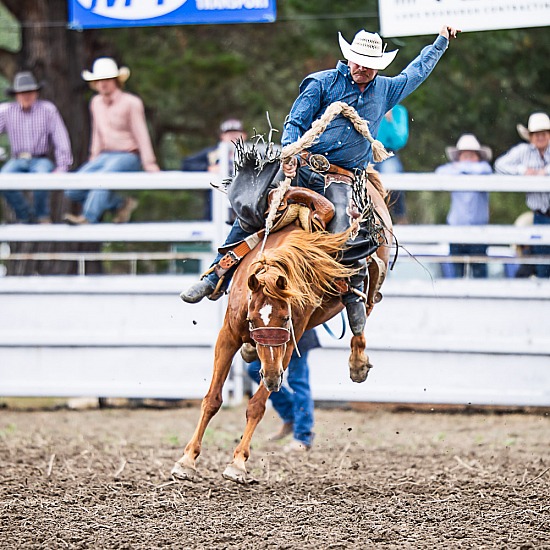 SADDLE BRONC