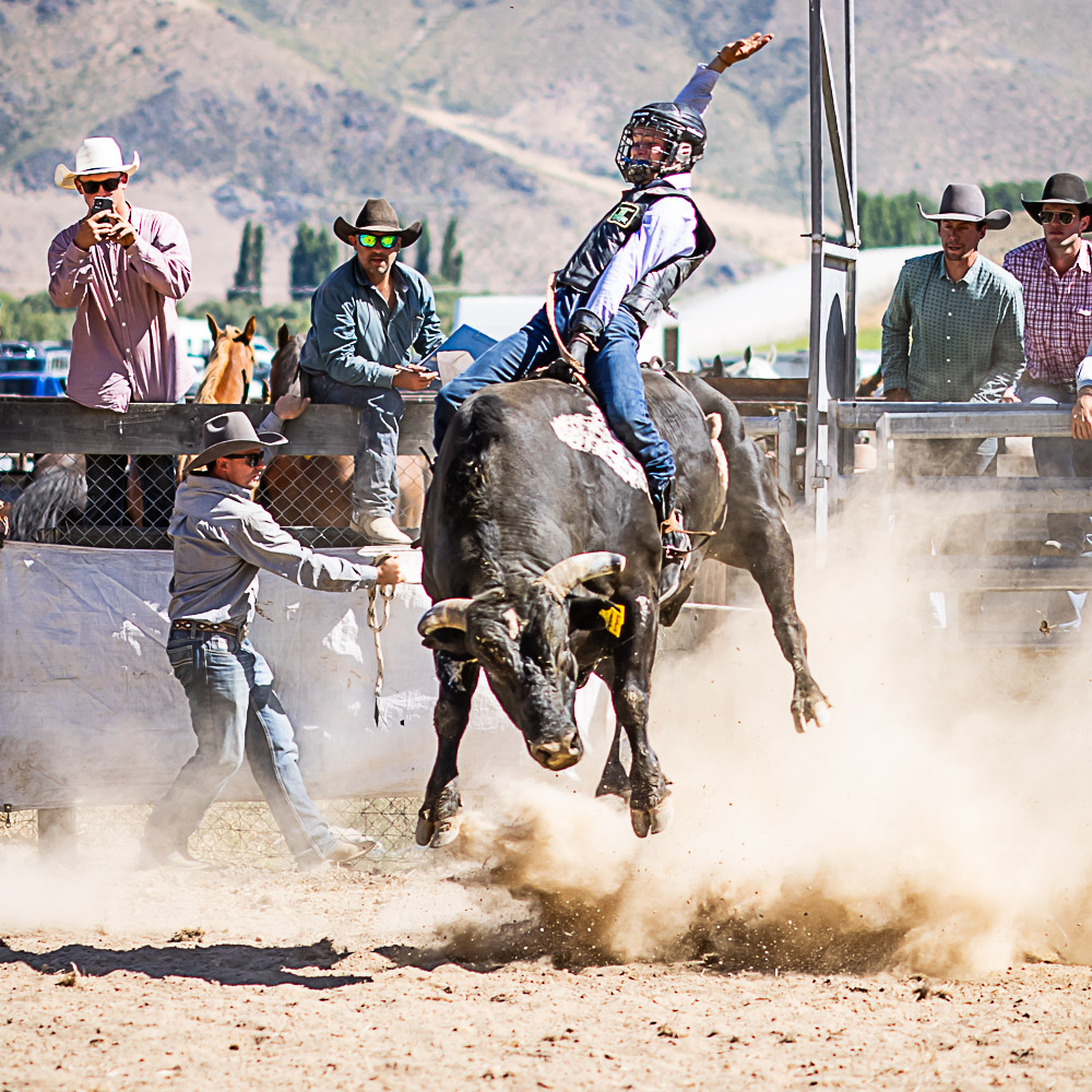 BULL RIDE - PORTFOLIO - RODEO - OMARAMA RODEO 2023 - www ...