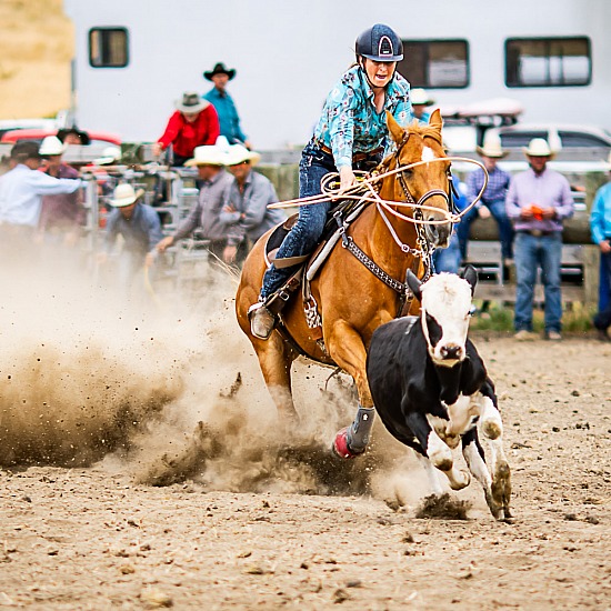 BREAKAWAY ROPING