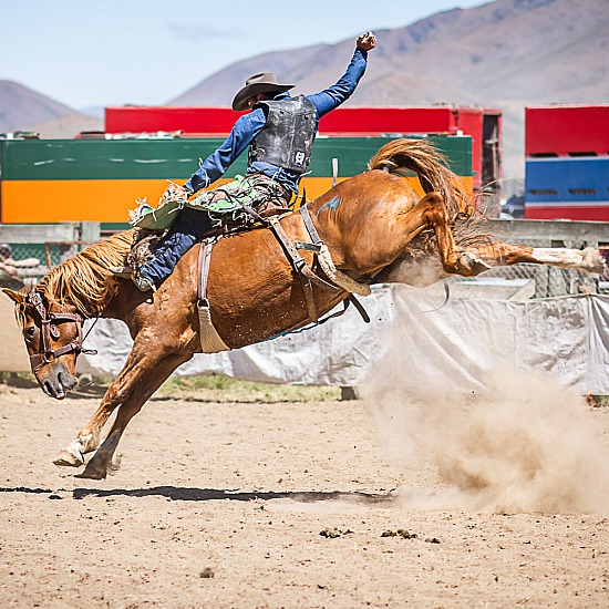 SADDLE BRONC