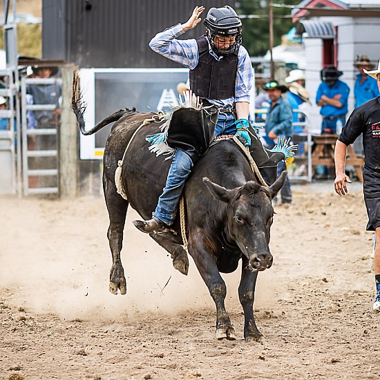 NOVICE STEER RIDE