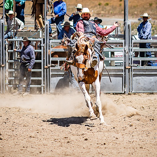 2ND DIVI SADDLE BRONC