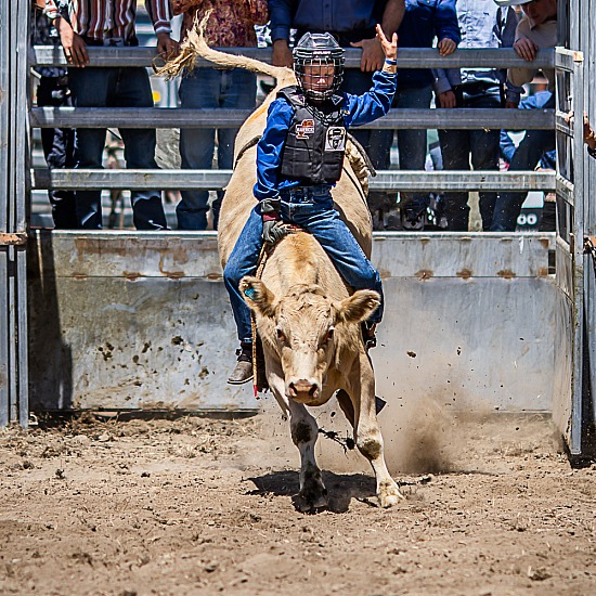 JUNIOR STEER RIDE