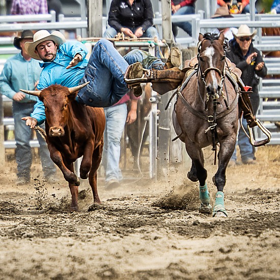 STEER WRESTLING