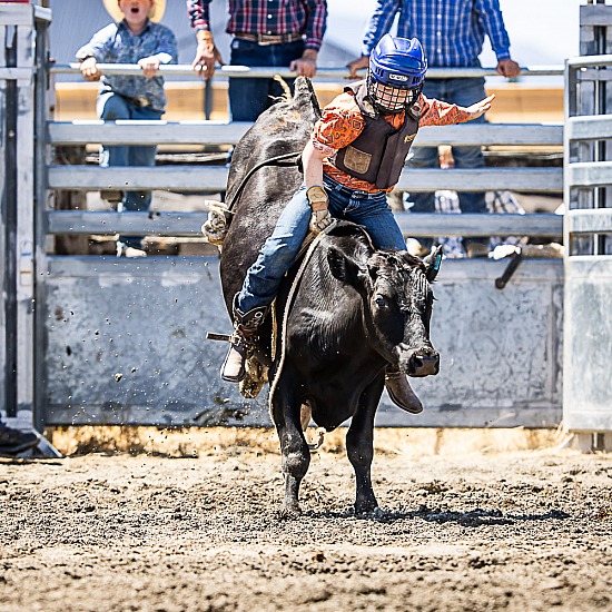 JUNIOR STEER RIDE