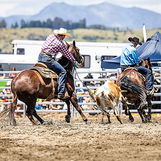 TEAM ROPING