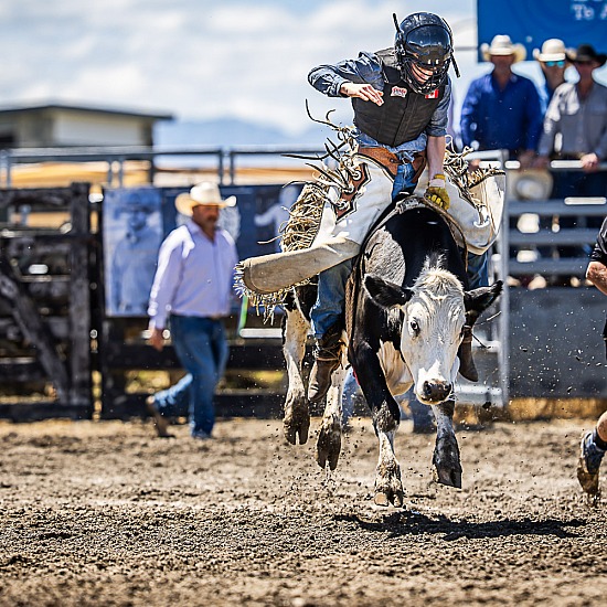 NOVICE STEER RIDE