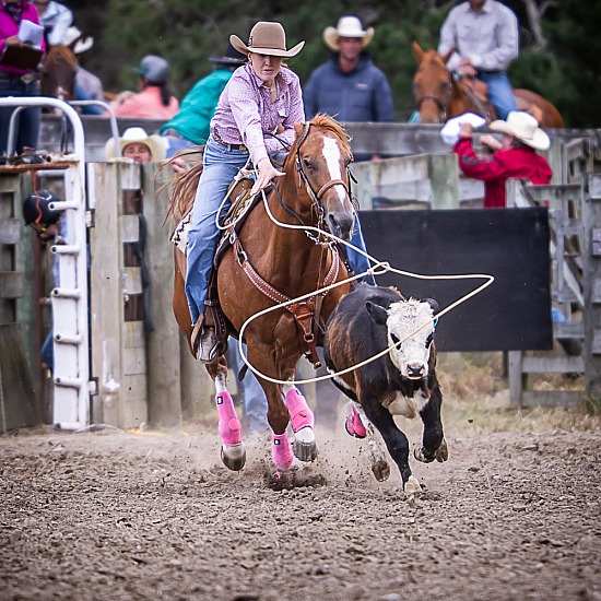 BREAKAWAY ROPING