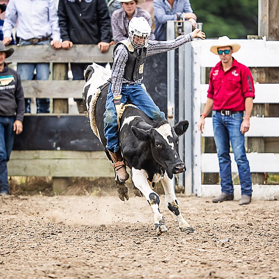 JUNIOR STEER RIDE