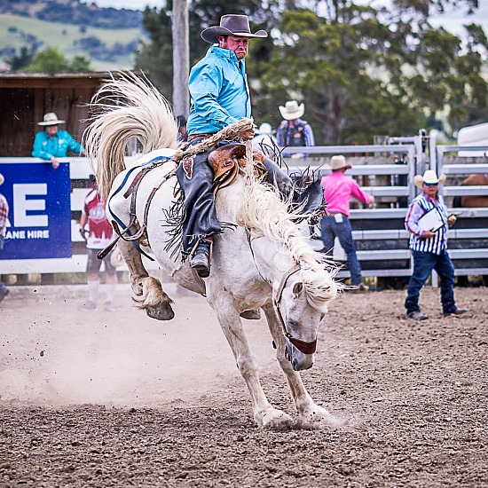 SADDLE BRONC