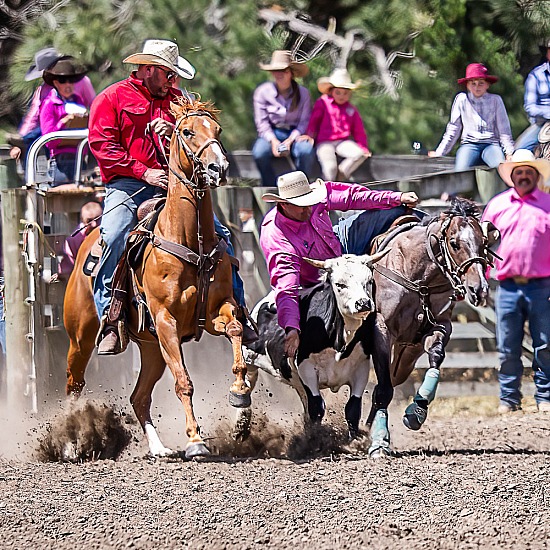 STEER WRESTLING