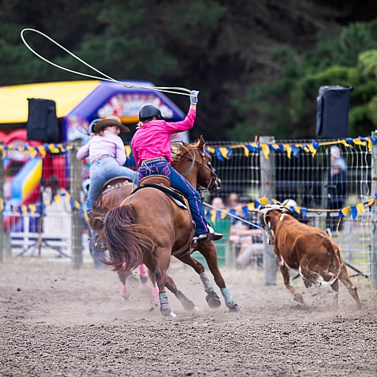 TEAM ROPING