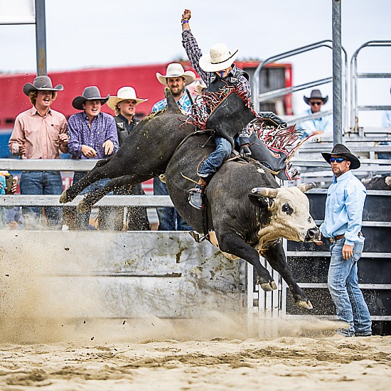 WANAKA RODEO 2024