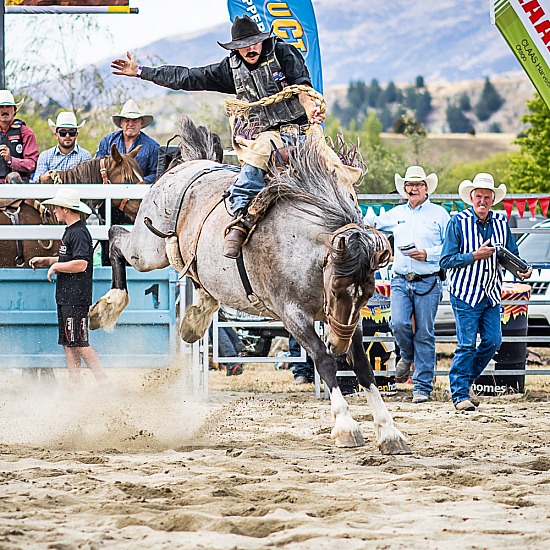 2ND DIVI SADDLE BRONC