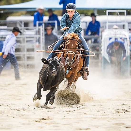 JUNIOR BREAKAWAY ROPING