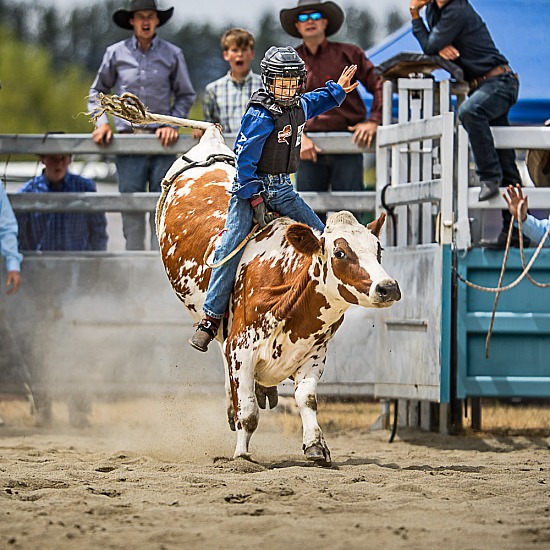 JUNIOR STEER RIDE