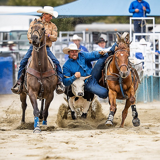 STEER WRESTLING