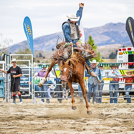 SADDLE BRONC