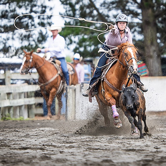 BREAKAWAY ROPING