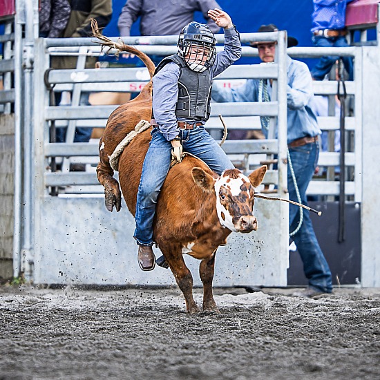 JUNIOR STEER RIDE