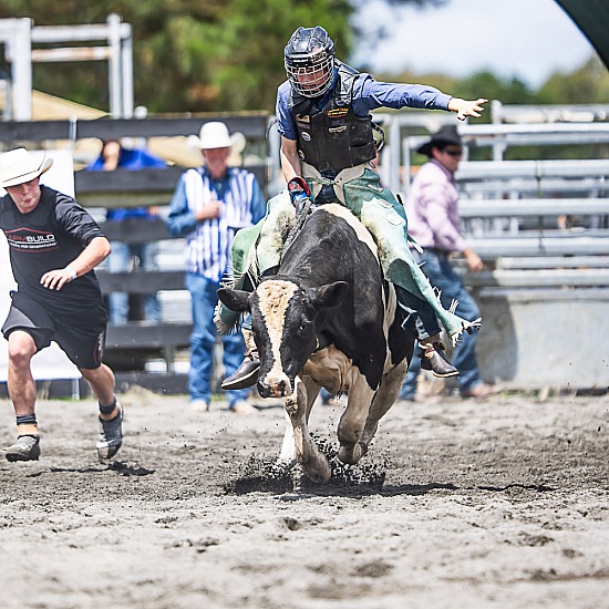 NOVICE STEER RIDE