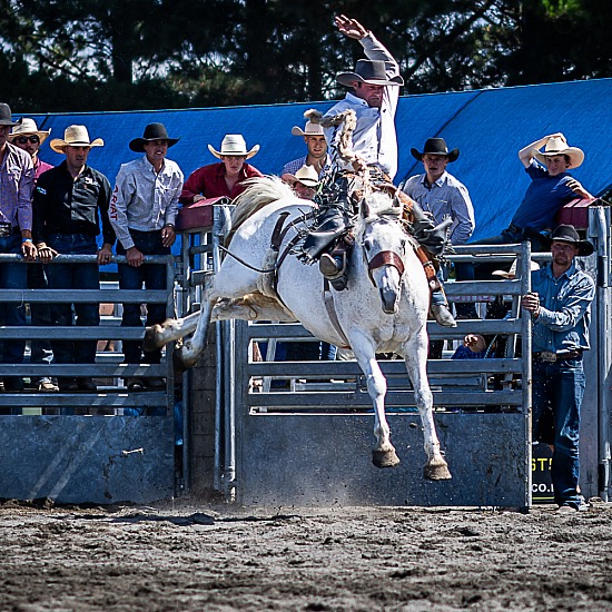 SADDLE BRONC