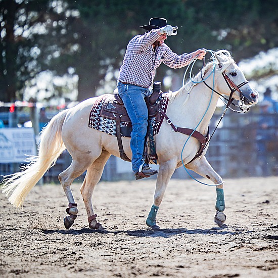 TEAM ROPING