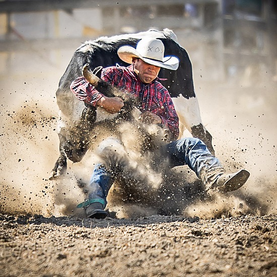 STEER WRESTLING