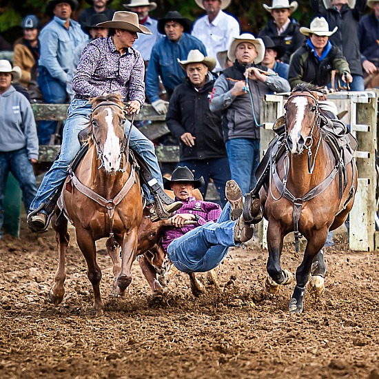 WAIMARINO RODEO 2024