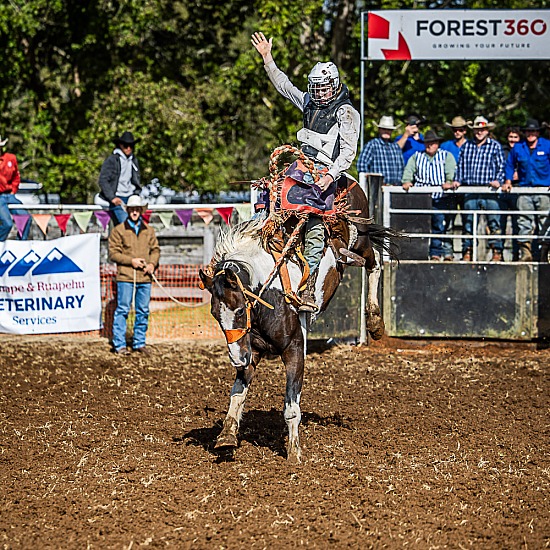 2ND DIVI SADDLE BRONC