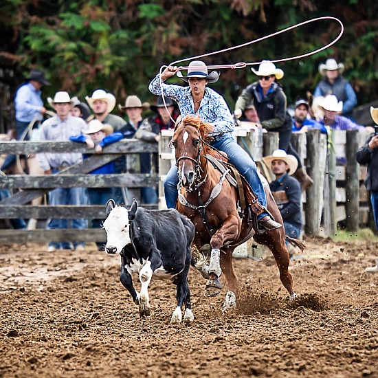 BREAKAWAY ROPING