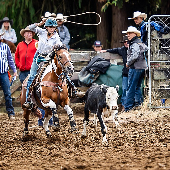 JUNIOR BREAKAWAY ROPING