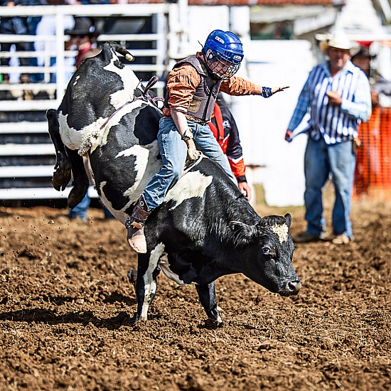 JUNIOR STEER RIDE