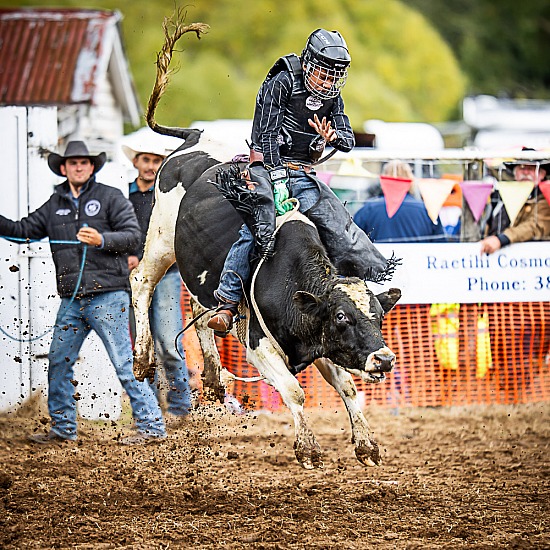 NOVICE STEER RIDE