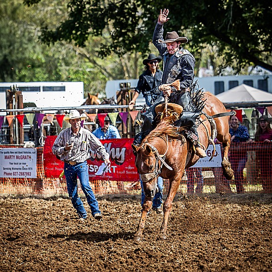 SADDLE BRONC