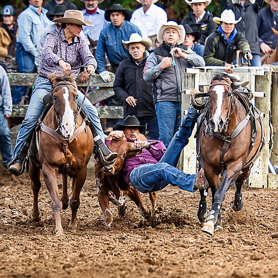 STEER WRESTLING