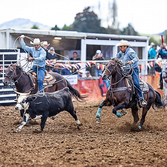 TEAM ROPING