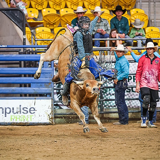 JUNIOR BULL RIDE