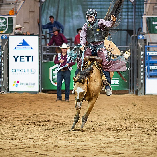 JUNIOR SADDLE BRONC