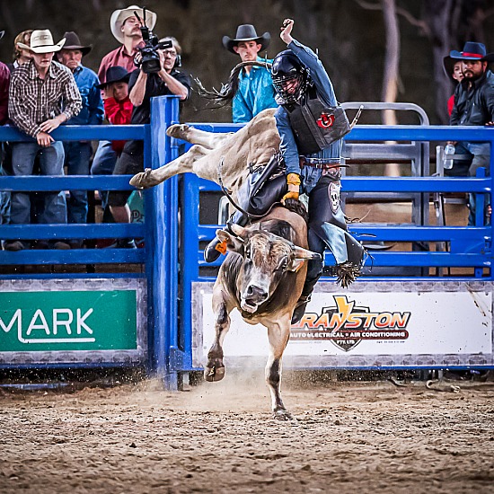 BULL RIDE - JUNIOR CHALLENGE