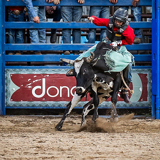 MINI BULLS 11YO - 15YO CHALLENGE