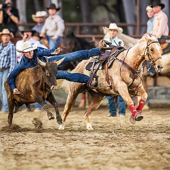 STEER WRESTLING